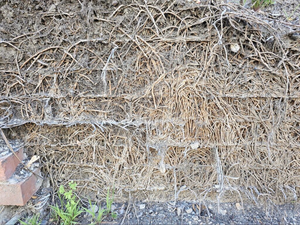 bricks destroyed by decay