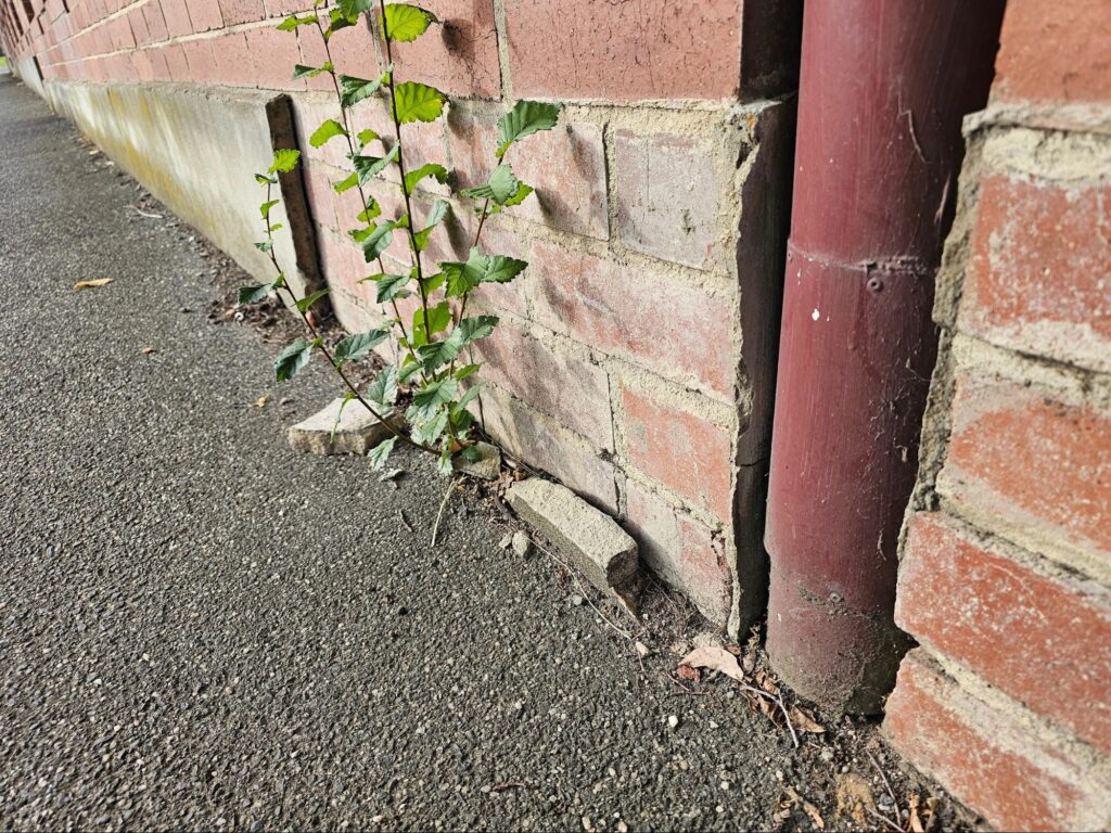 splashback integration on a brick wall