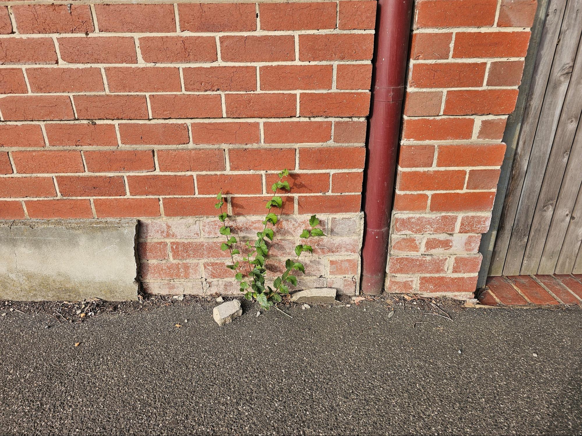 variations for brick wall splashback protection