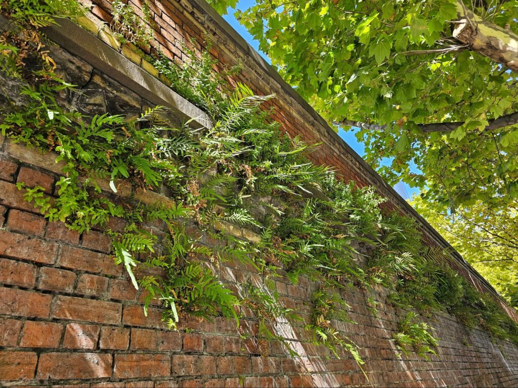 comprehensive look at the deterioration of historic mortar