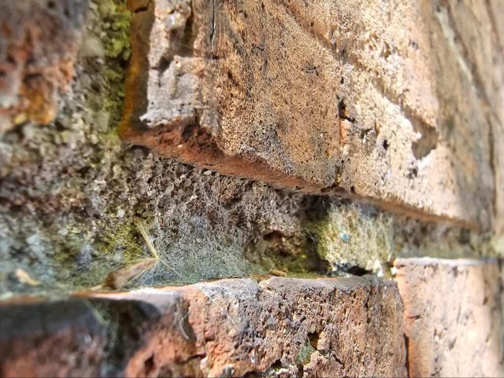 facts about deterioration in historic mortar