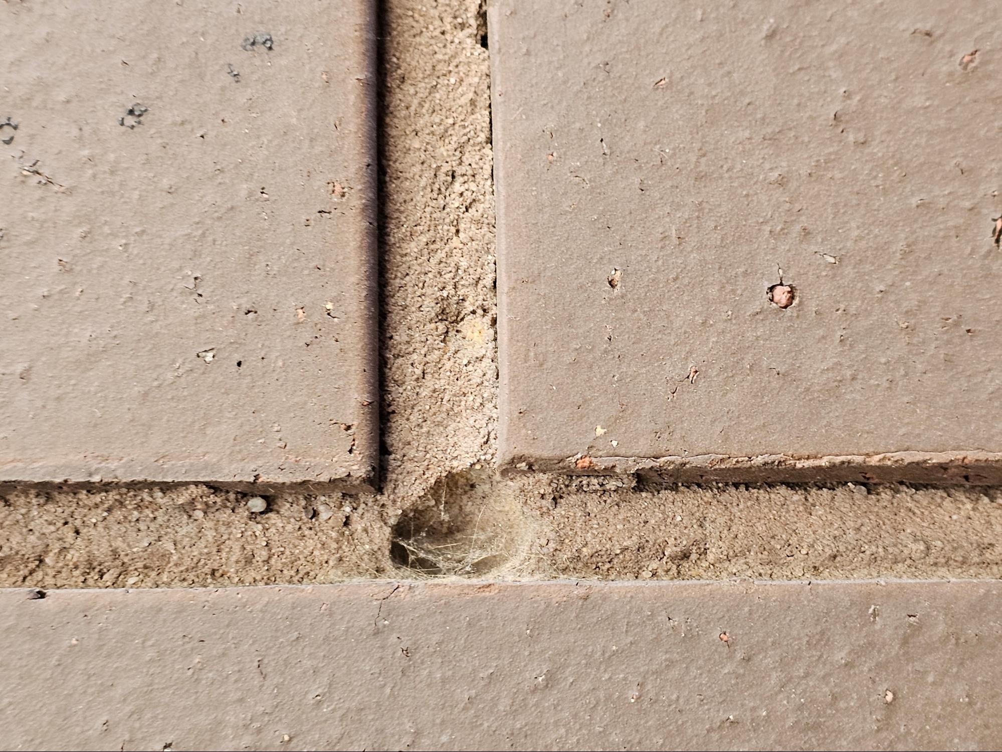 modern masonry