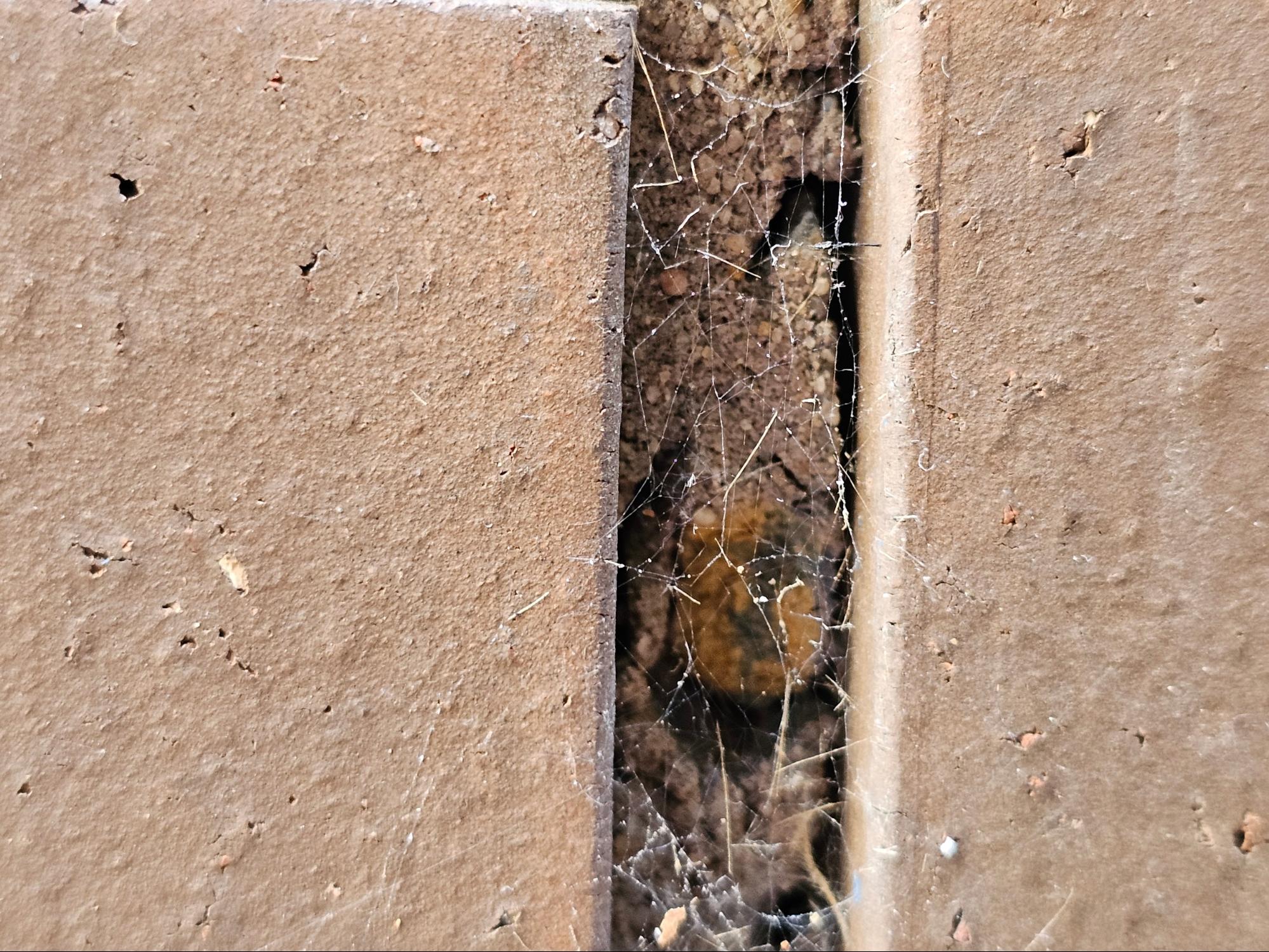 semi-vitreous bricks modern masonry