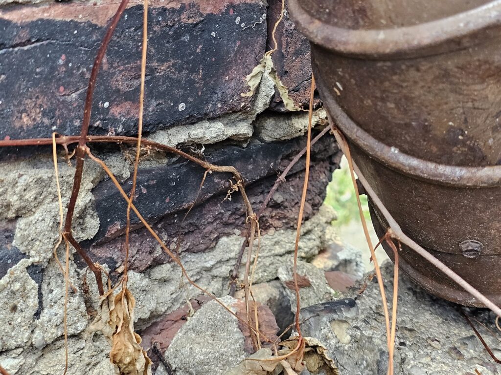 four main mechanisms of masonry deterioration