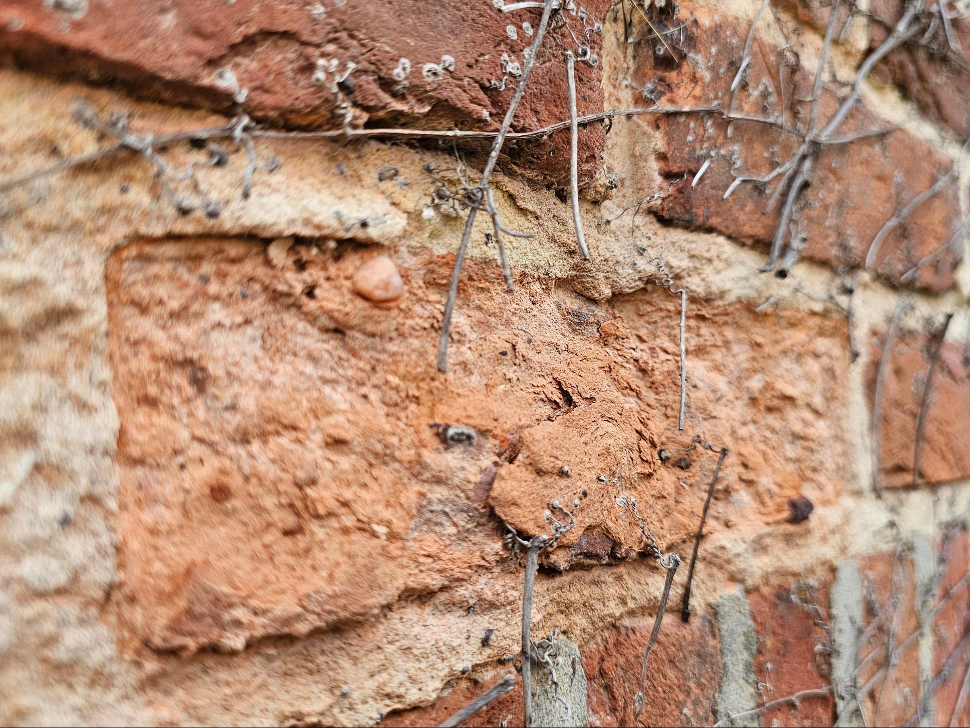 mechanisms of masonry deterioration from overhydration