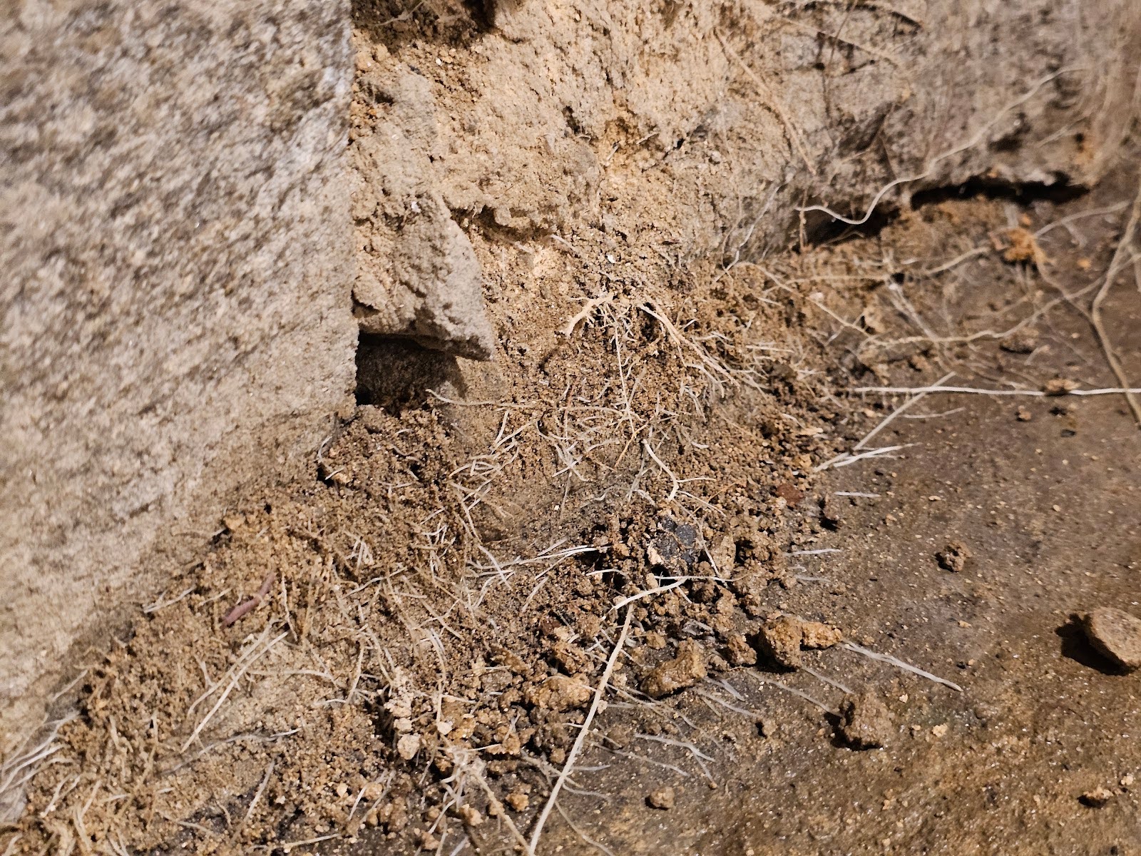 base of the stone wall