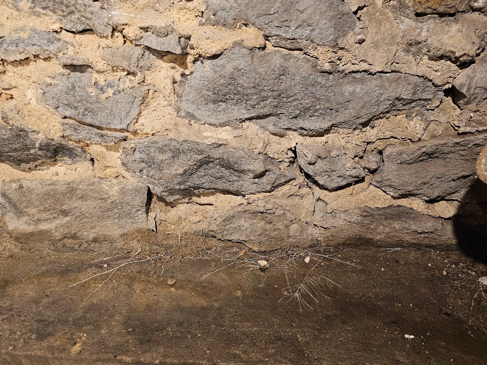 moisture at the base of a foundation - Below Grade Moisture