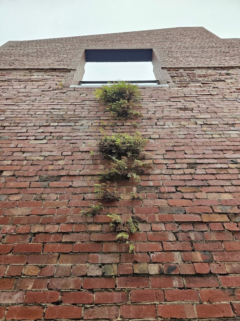 provide a weather shield at the exterior face of the wall.