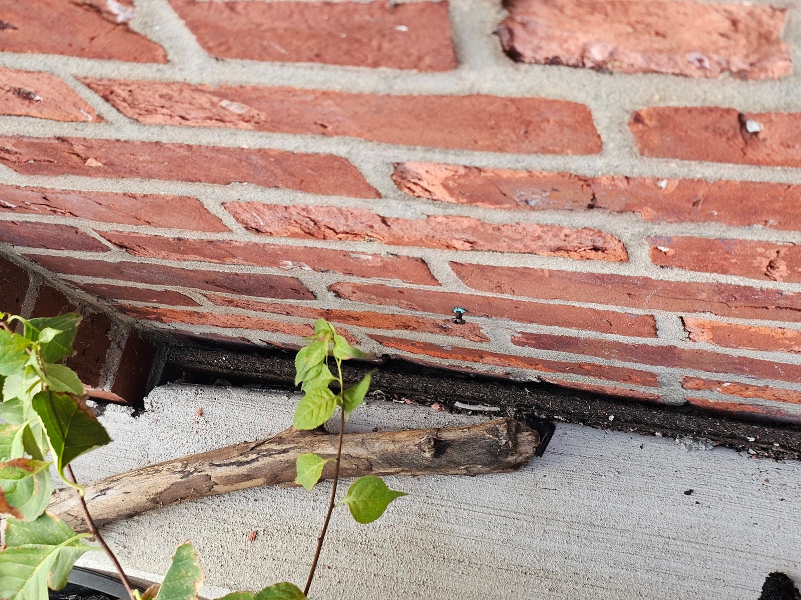 the absorption of water into concrete - Brick Wall Meets Paving