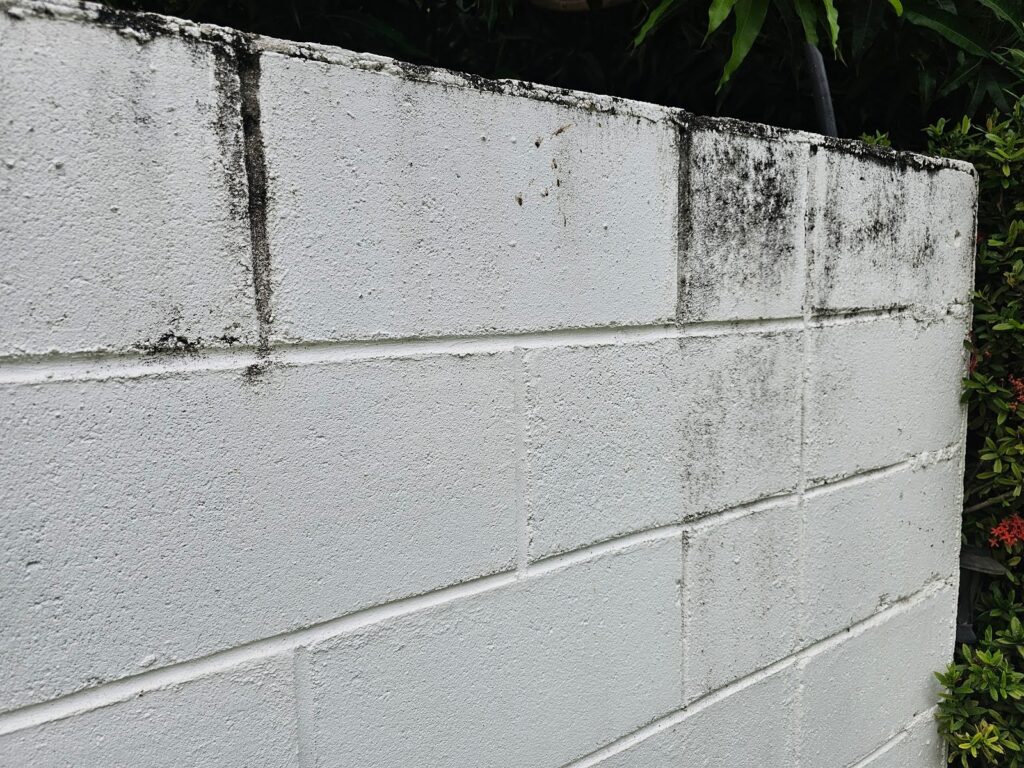Material Porosity, a Cause of Masonry Deterioration