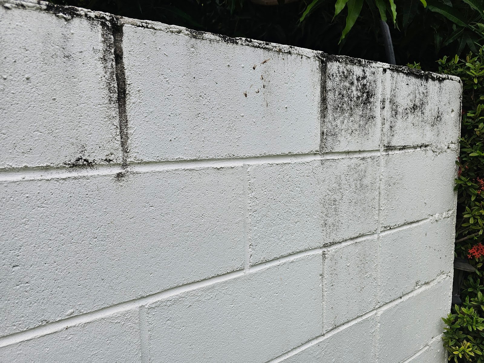 Material Porosity, a Cause of Masonry Deterioration