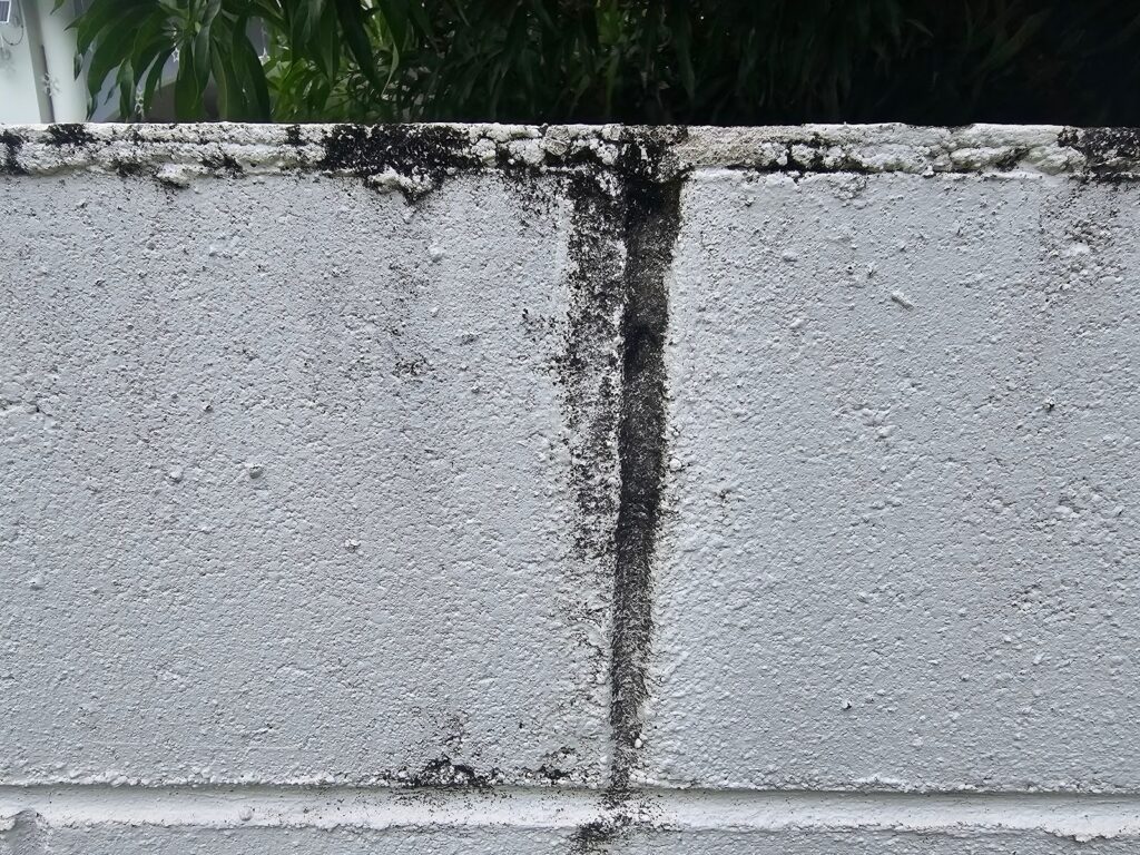 historic common brick