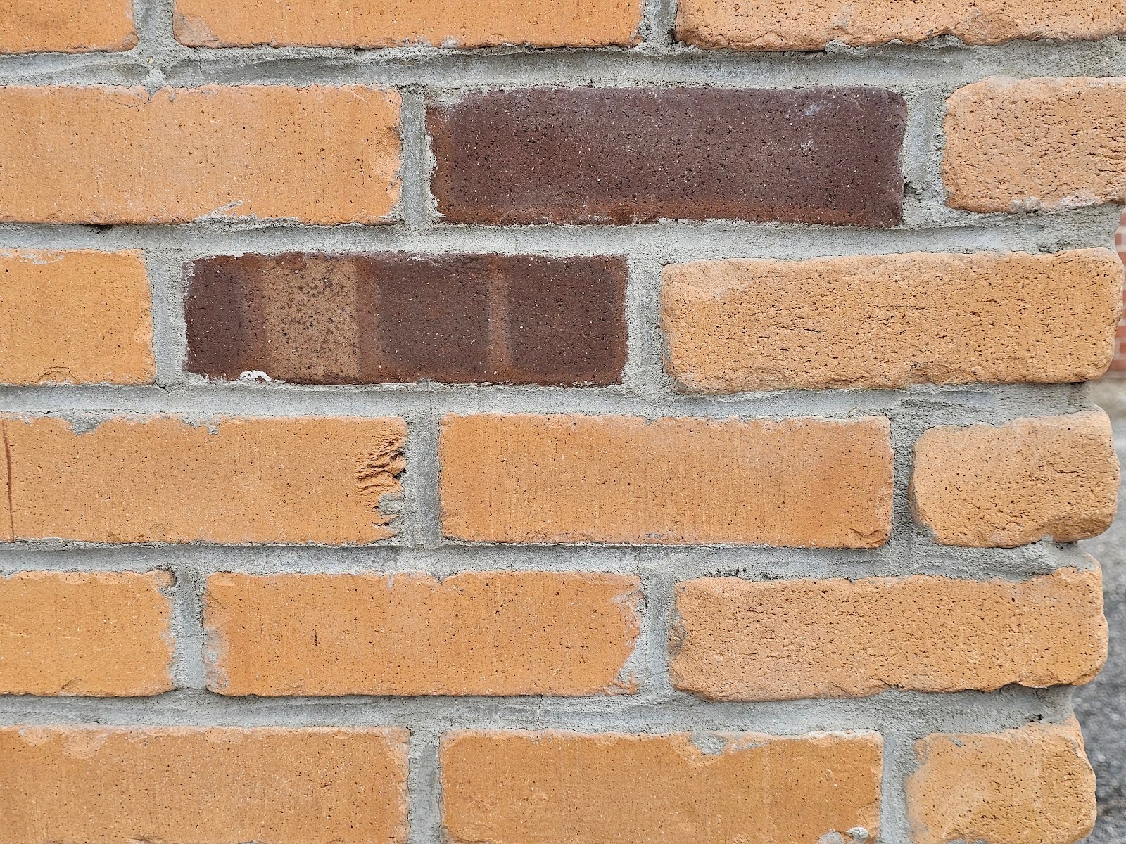 the main field of the bricks