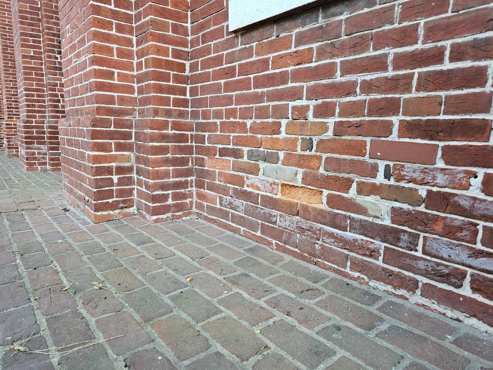 Rising Damp and Spalling - Part I