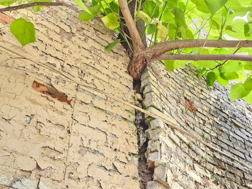 Brick Buildings in Ruin and Destabilization