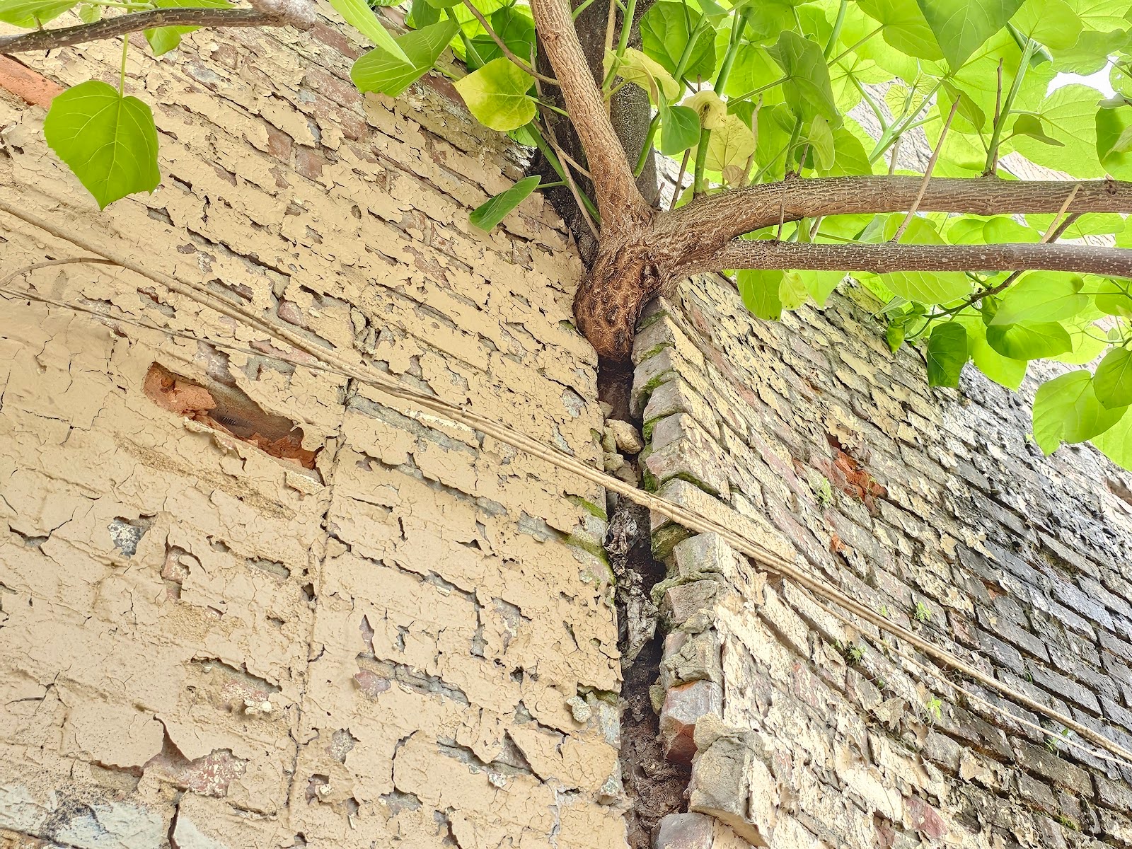 Brick Buildings in Ruin and Destabilization