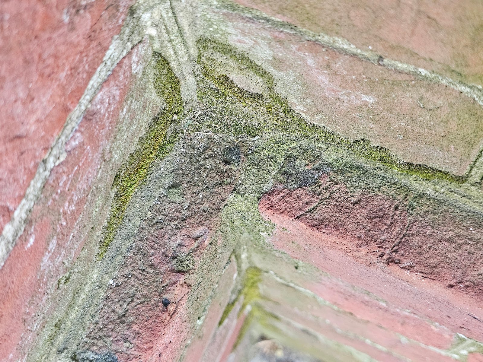 the facade might be critically affected by moisture