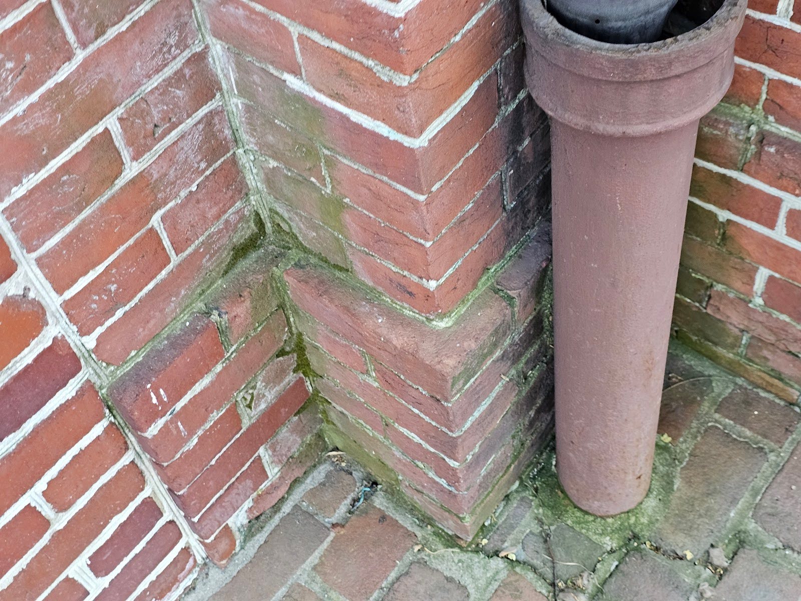 white efflorescence is a salt that is found inside of the masonry