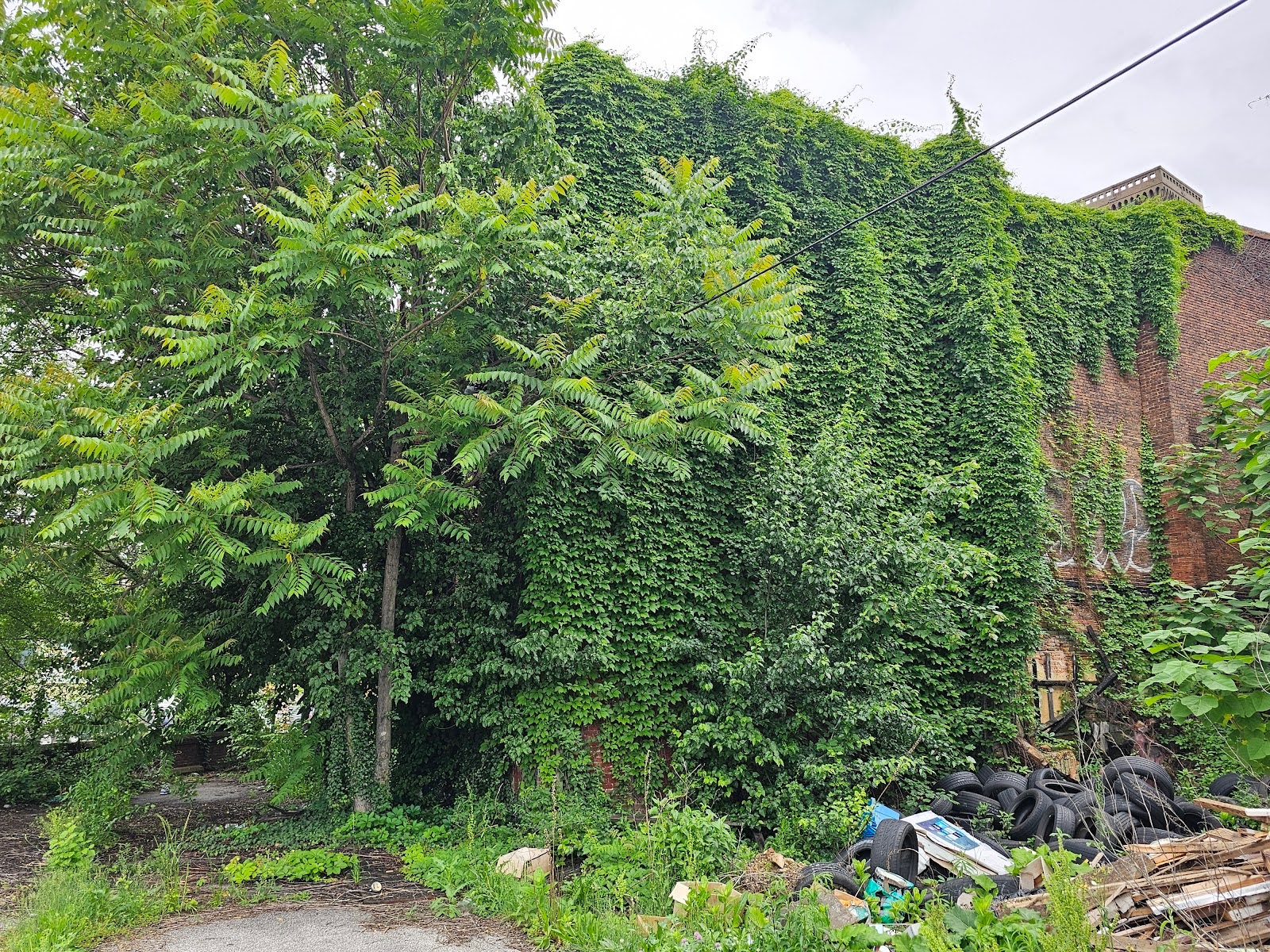 Historic Masonry Buildings Wasted to Ruins