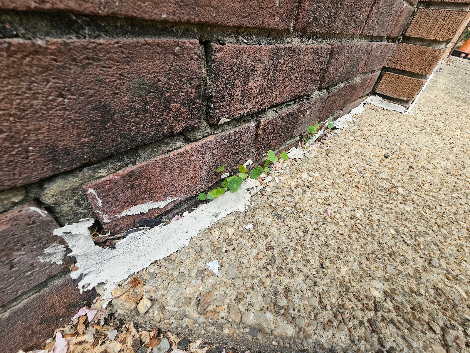 Sealant between Paving and Brick Walls