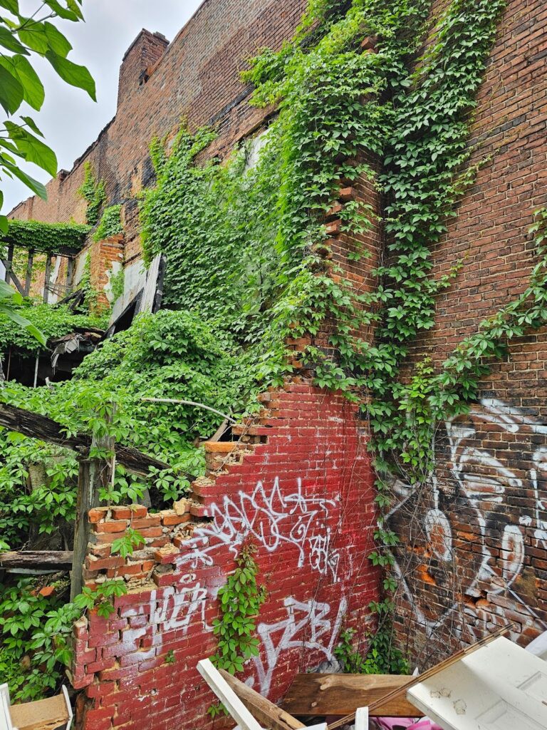 building much cheaper buildings