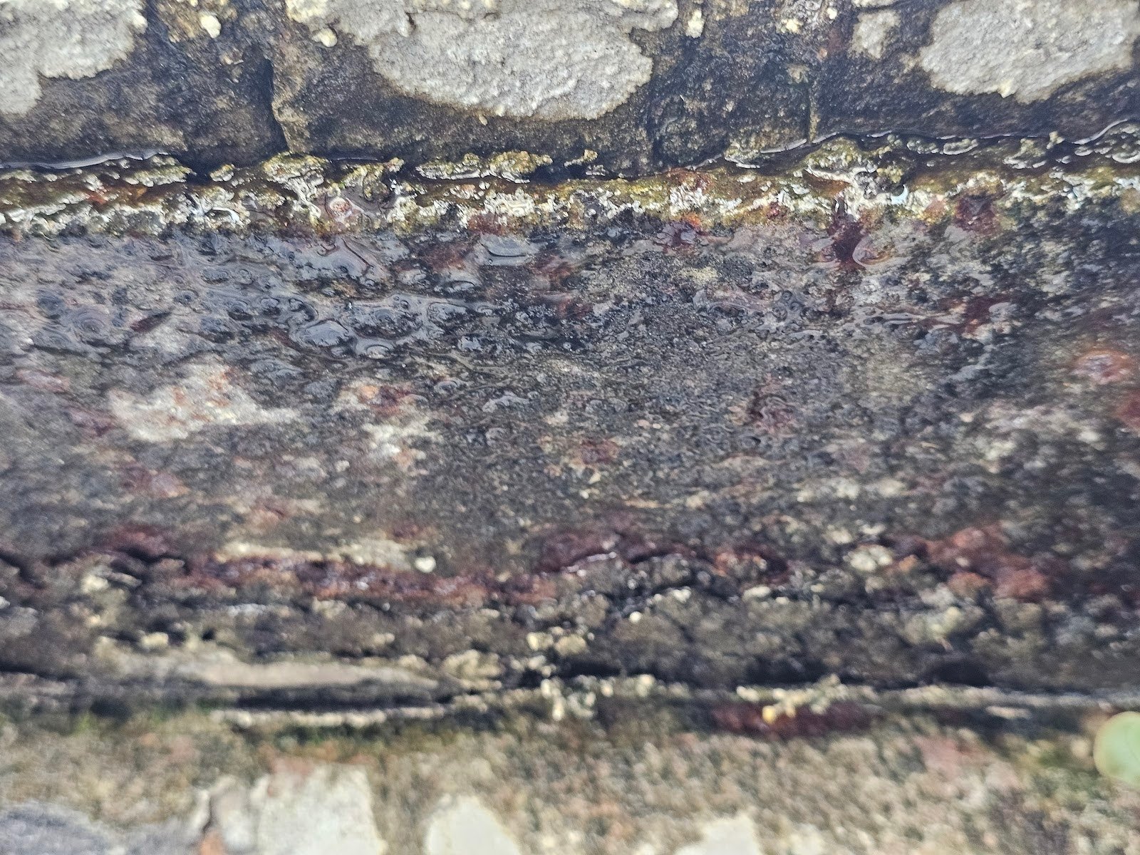 Brick exterior erosion caused by leaking gutter in DC rowhouse