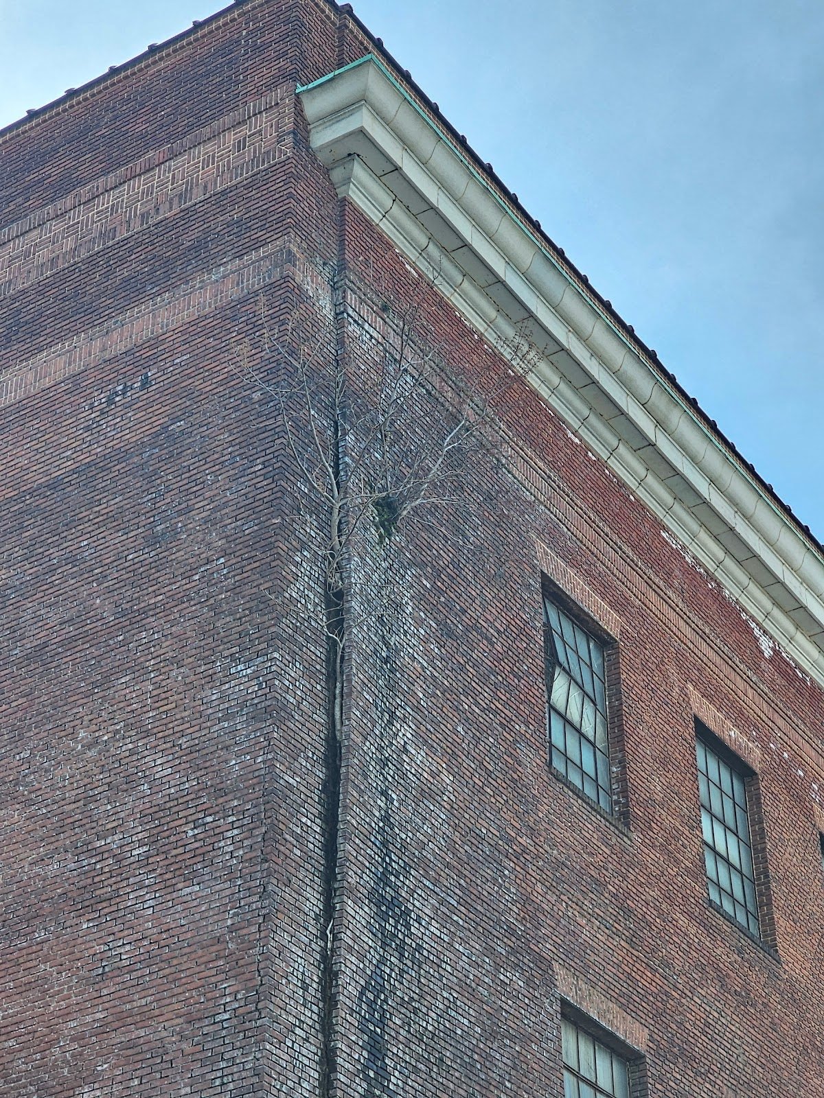 Cracked masonry foundation from moisture intrusion near Washington, DC
