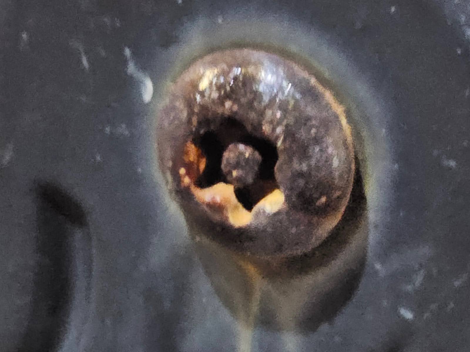 Street-side view of building with visible Horse Binding Ring