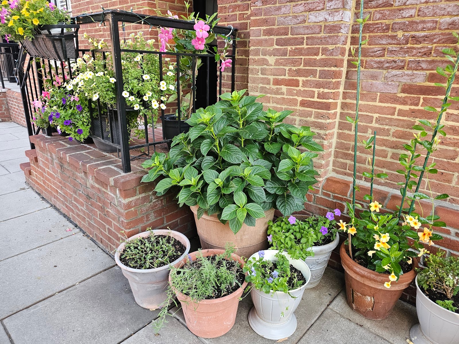 Decorative lighting installed on an exterior brick wall