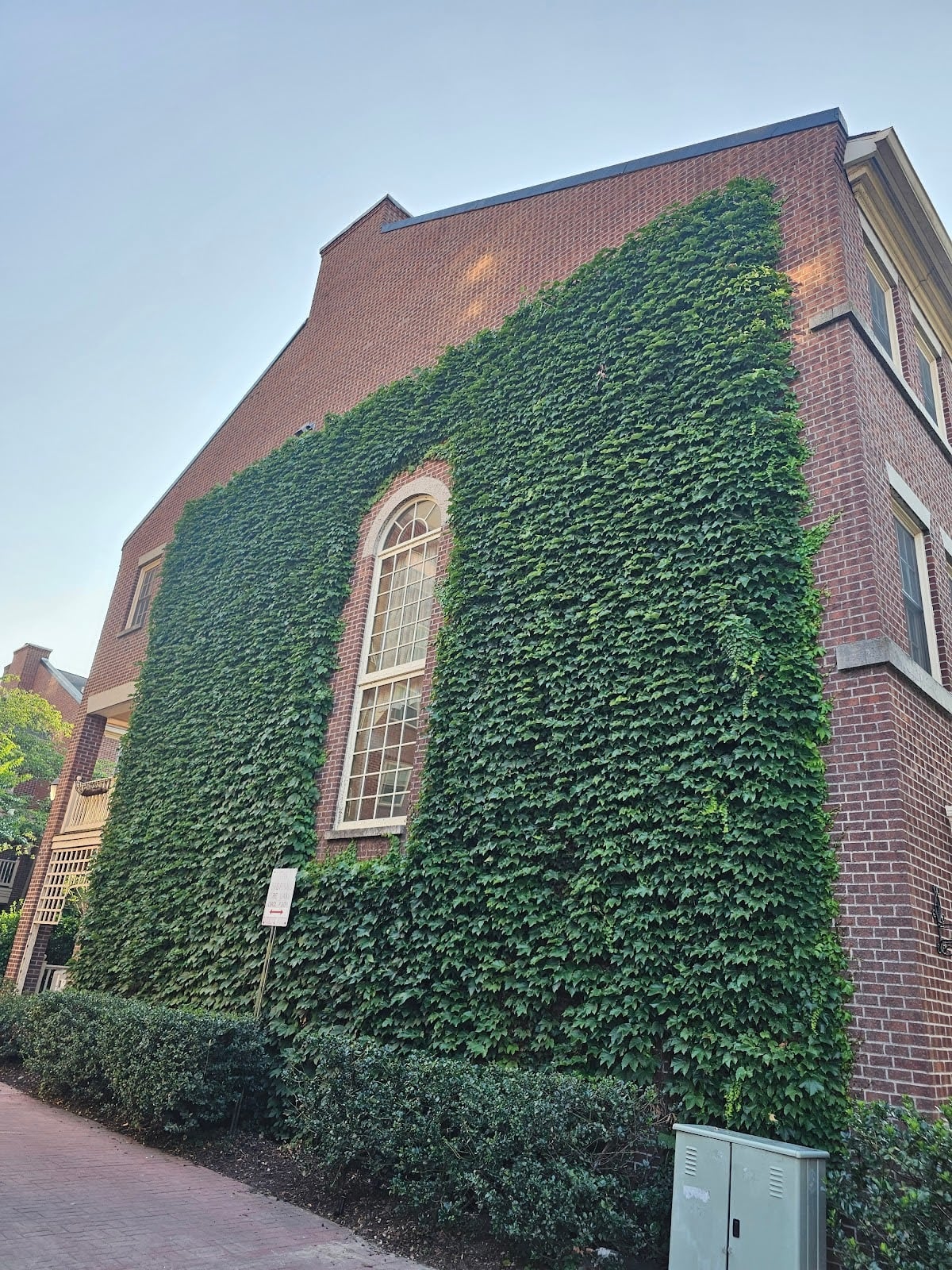Boston Ivy on Brick Facades - Part II
