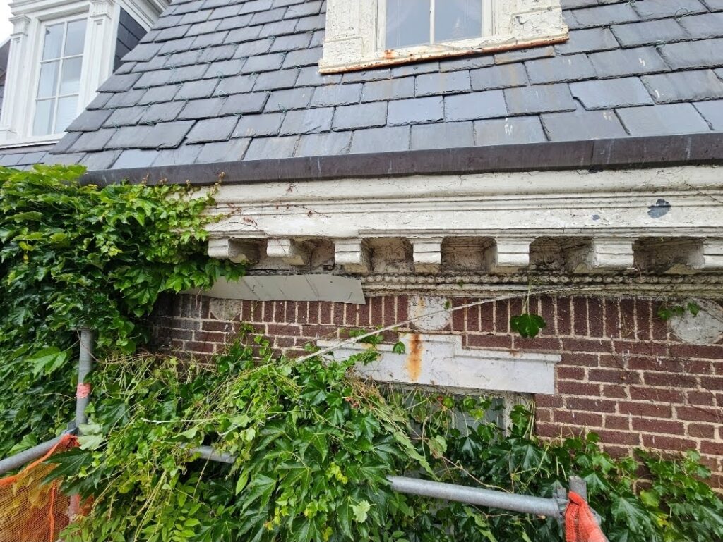 Boston ivy climbing red brick facade showcasing lush green coverage on building exterior