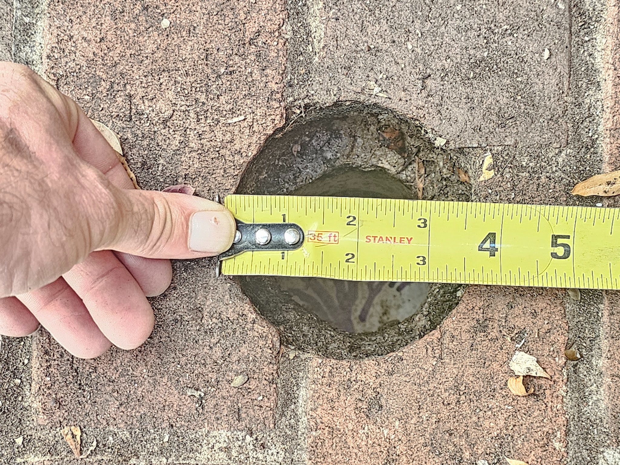 Undersized Areaway Drains DC Homes