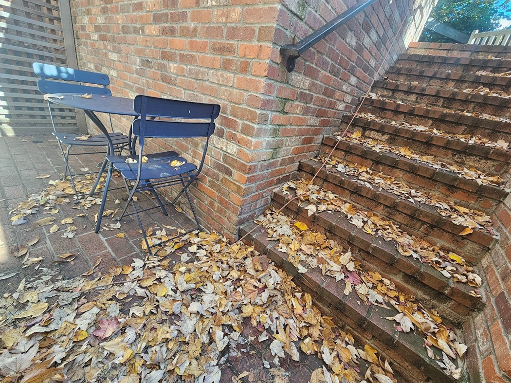 wide stairway that leads to this particular paved entrance area