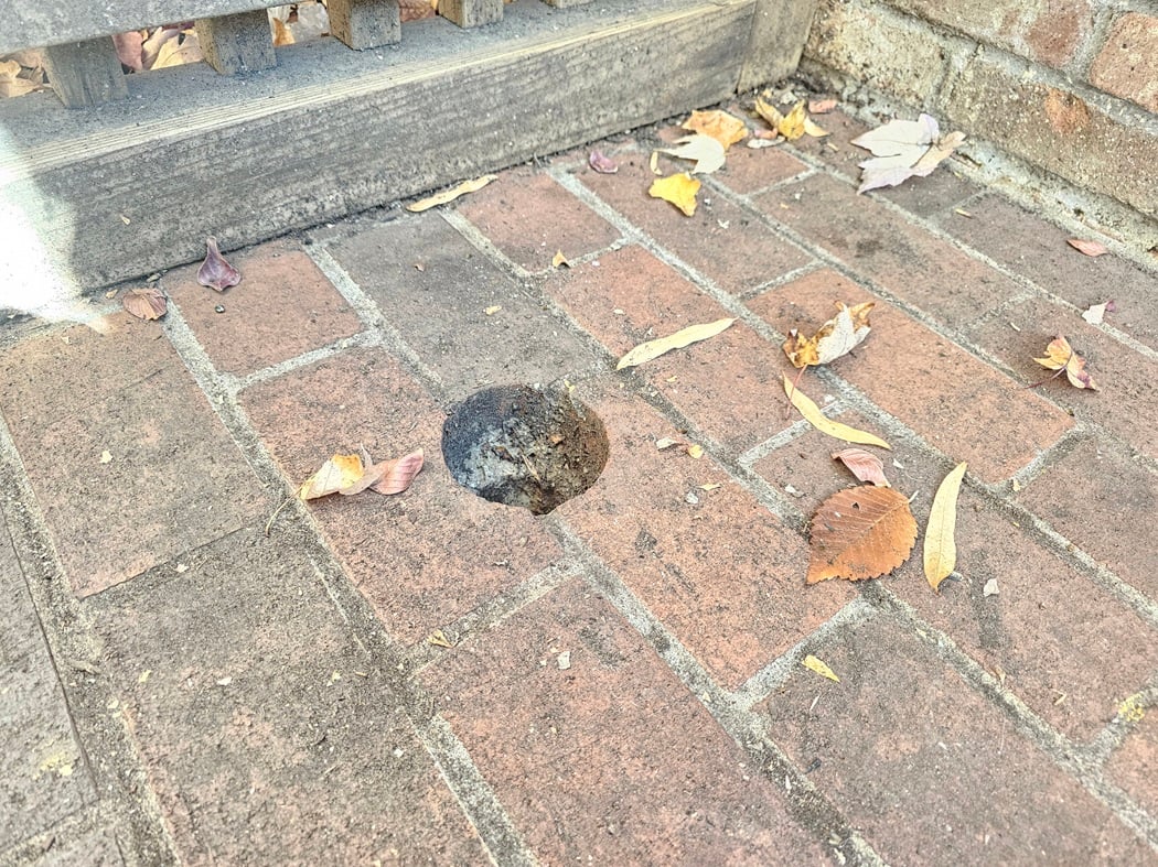 Particular drain installation in DC Homes