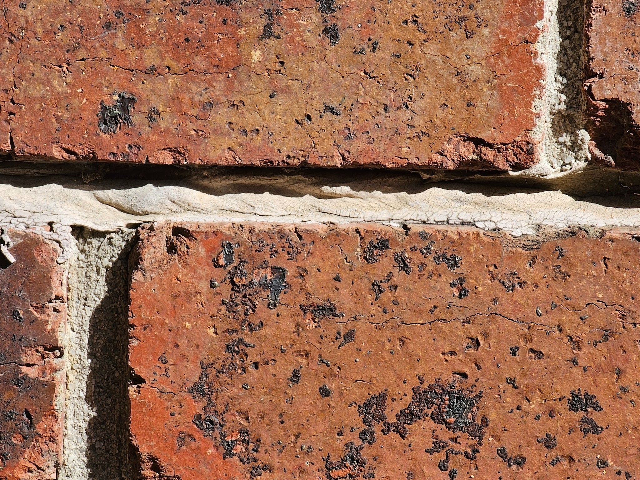 water damage within the building envelope