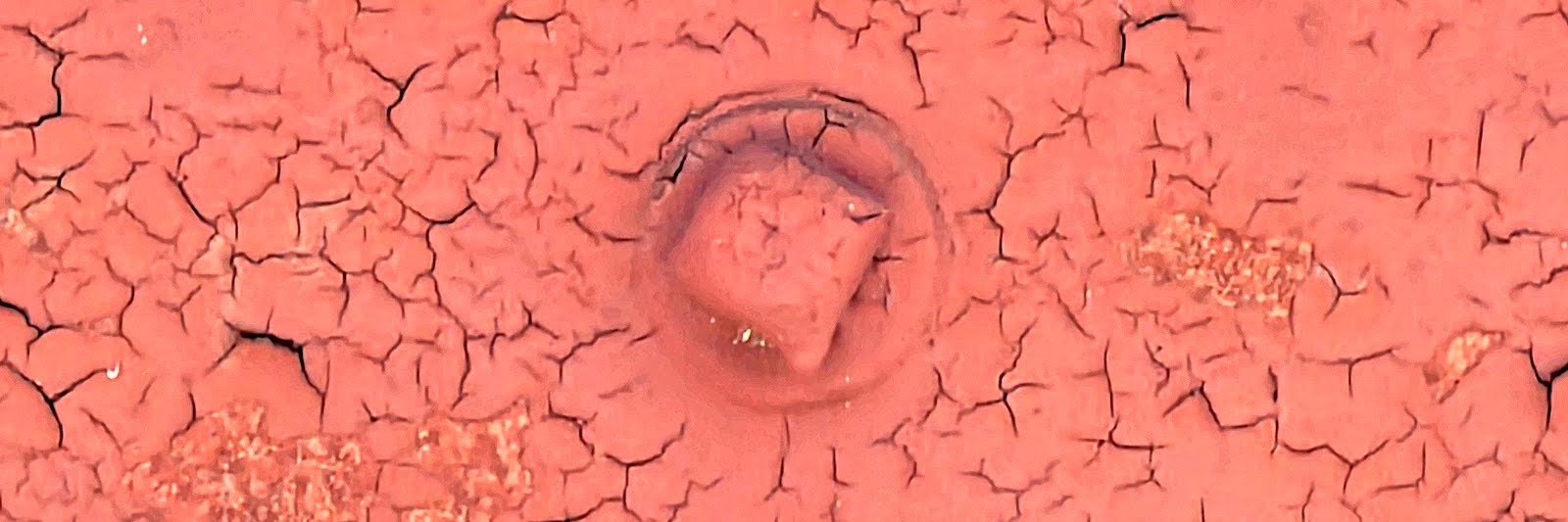 closer view of washer and square bolt
