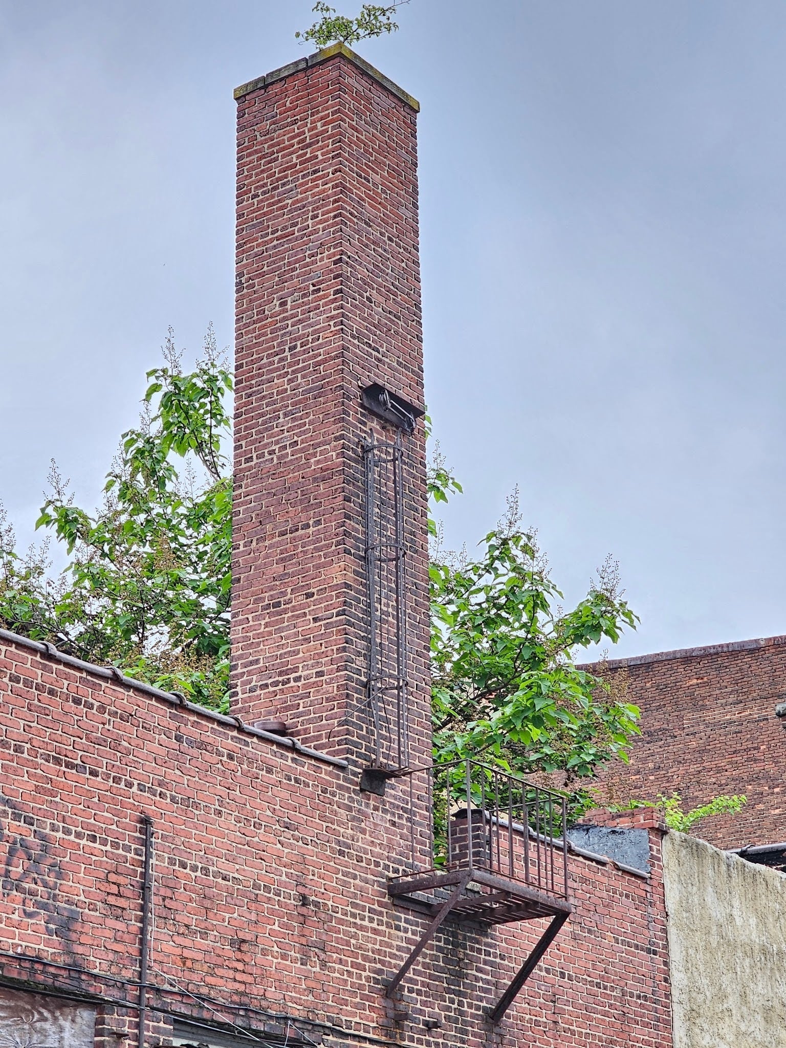 Deteriorated iron roof access walkway highlighting signs of wear and long-term exposure