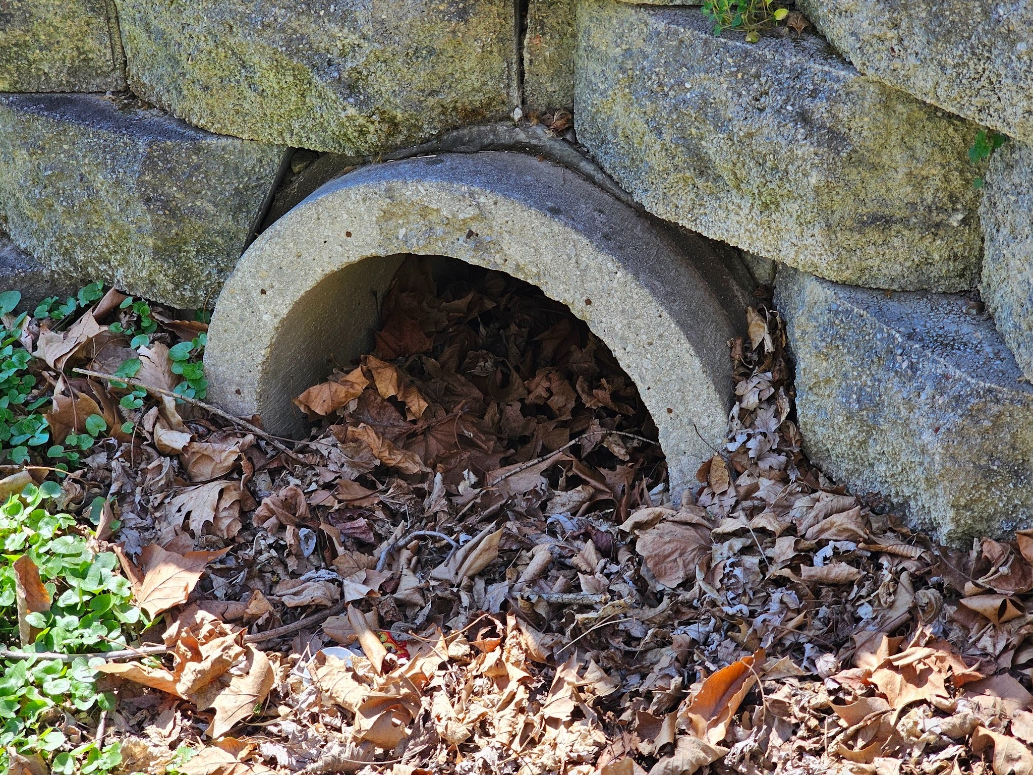 that pipe and adjacent grade