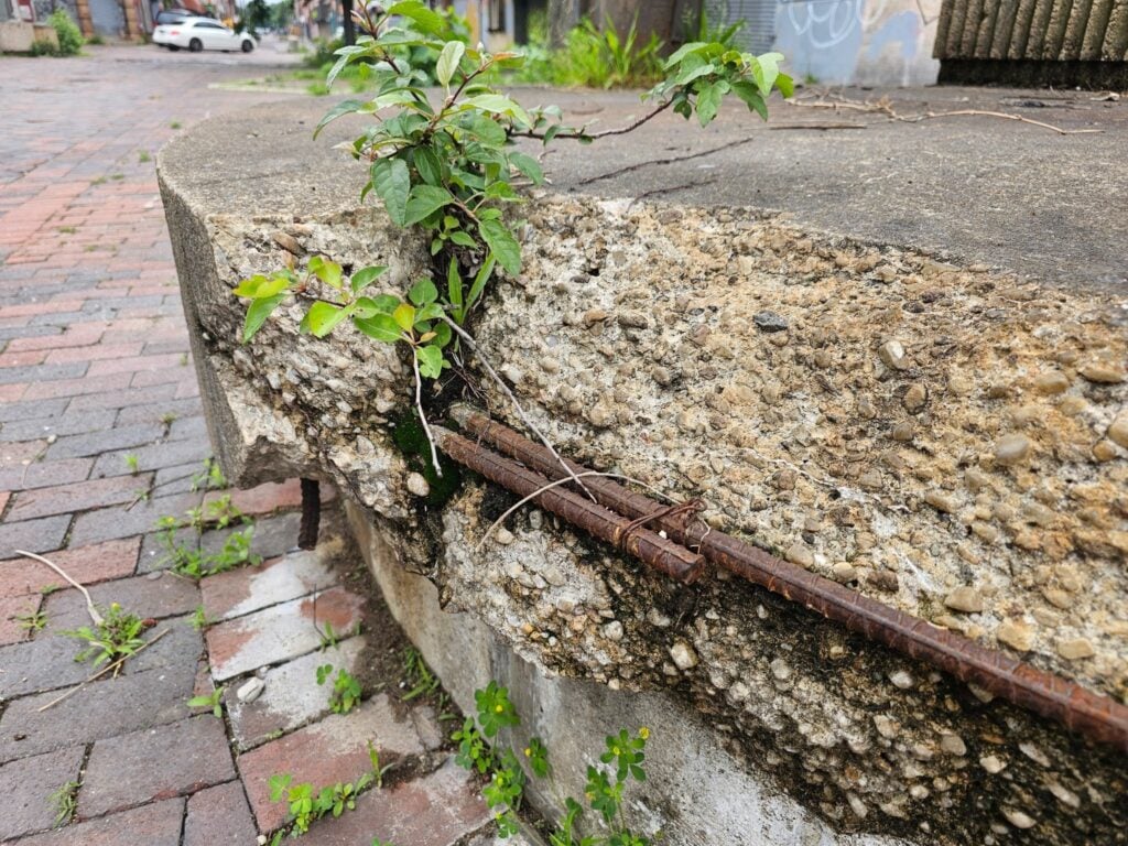 Exposed reinforcing steel along a curved concrete section