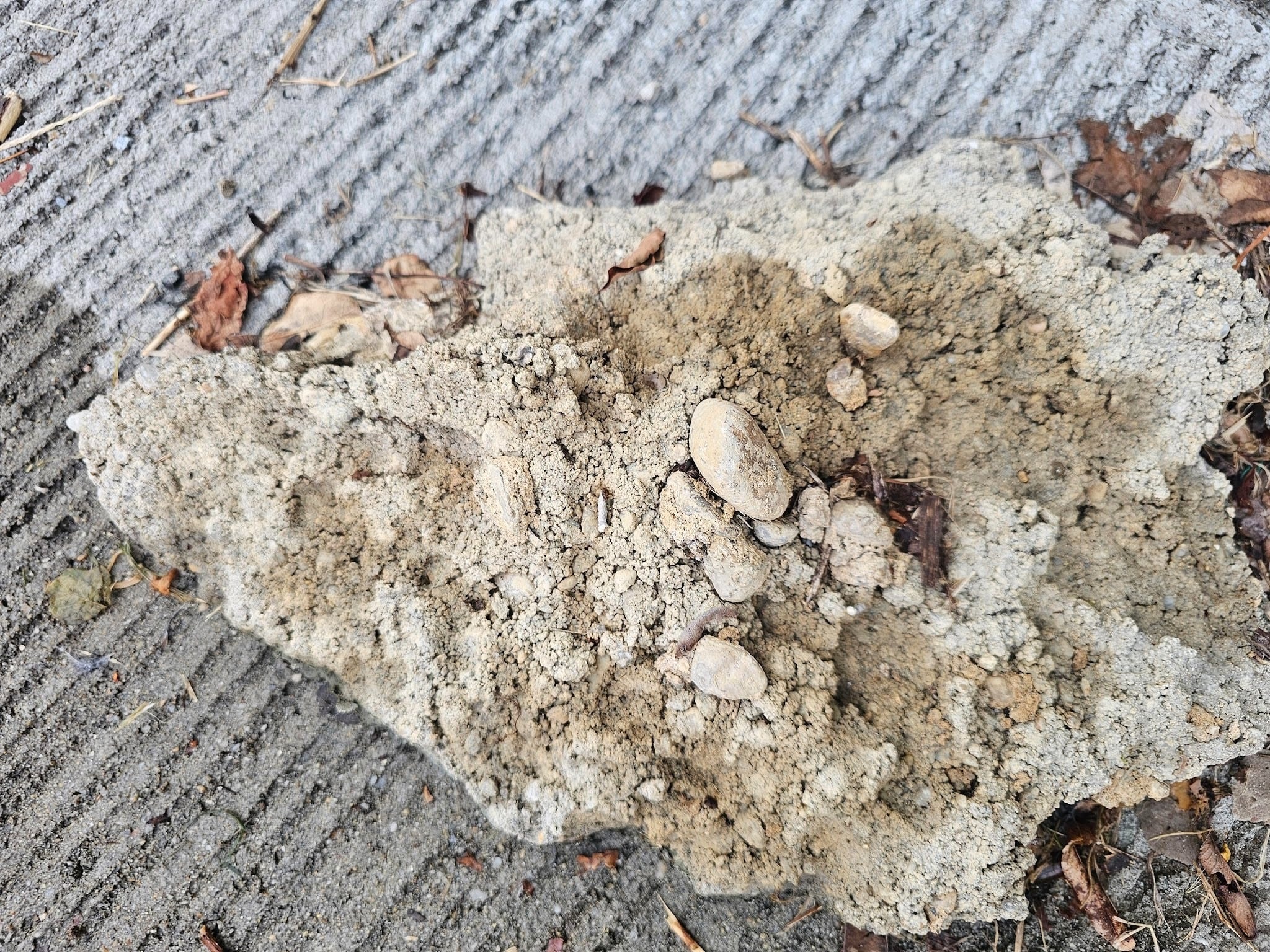Cracked retaining wall showing signs of structural damage