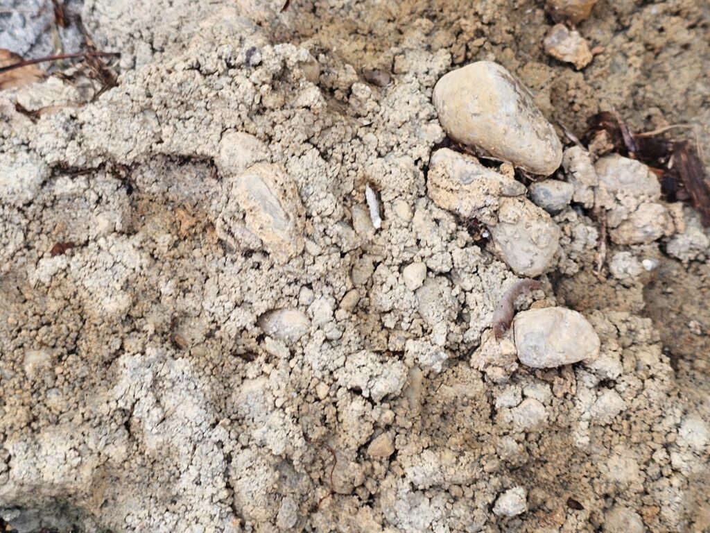 Damaged retaining wall with visible cracks and shifting