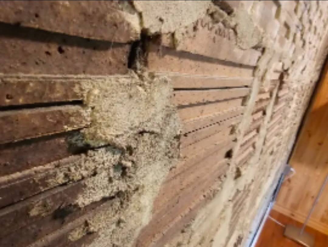 repointing and historic masonry restoration